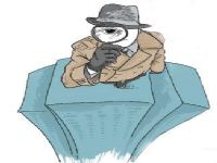 康县寻人公司阐述拐卖儿童的可疑行为